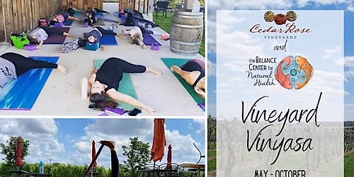 Vineyard Vinyasa