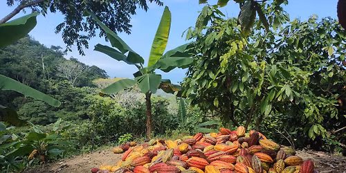 Studiebes\u00f6k p\u00e5 Globalen