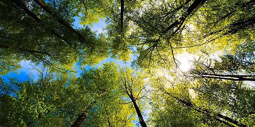 oneBREATH 'le pop up'