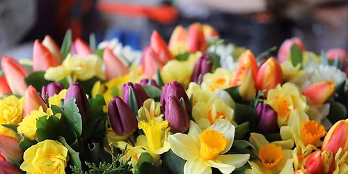 Support Local: Recovery Pop-Up