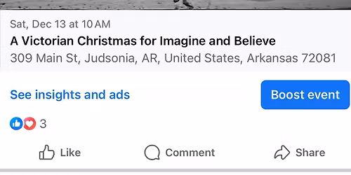 A Victorian Christmas at the Pink House