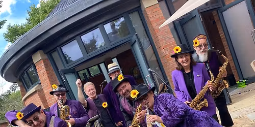 BLOWJANGLES LIVE