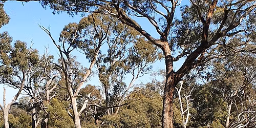 Quiz Night for a Green Macedon