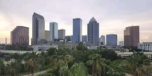 2025 Tampa Federal Tax Update and Review Course