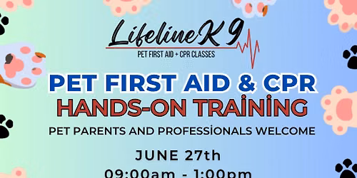 Pet First Aid & CPR Hands On Certification Class