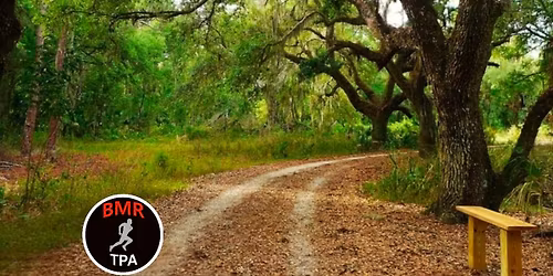 BMRTPA\/TURF Group Run - Acorn Hammock Trail
