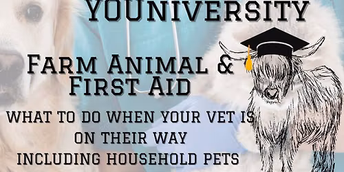 Animal First Aid Basics