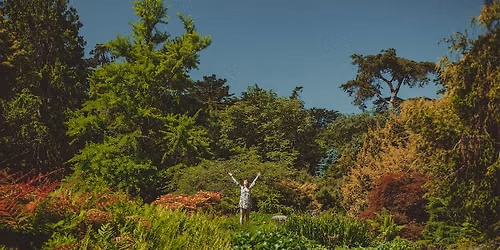 Herbal Magic Through The Wisdom of the Moon and Seasons (Yearlong Journey)