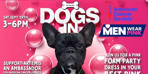 Dogs in Pink Foam Pawty