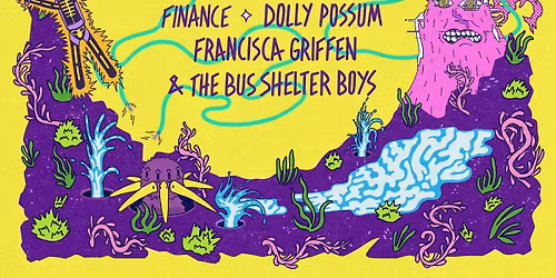 DROOK (USA) - Dunedin \u014ctepoti