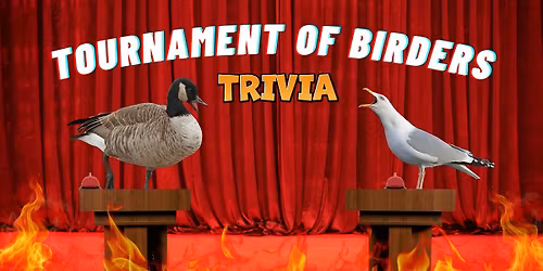 Tournament of Birders