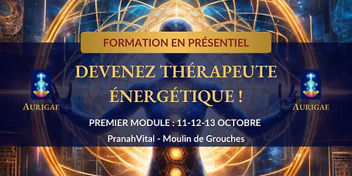 Formation Thérapeute énergétique