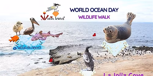 Wildlife Jewels World Ocean Day Wildlife Walk