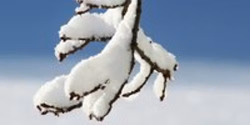 Conscious Connected Breathwork with Lyndsey & Anna