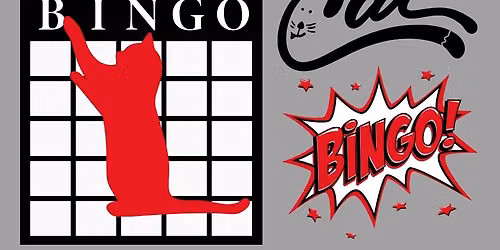 Cat Bingo!