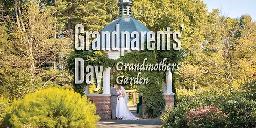 GRANDPARENTS' DAY - Sarah the Fiddler