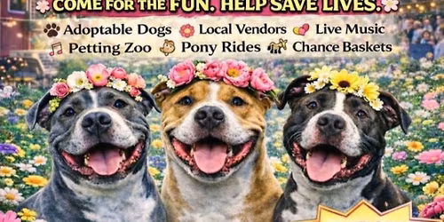 Paws & Petals Festival