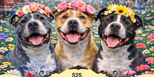 Paws & Petals Festival 