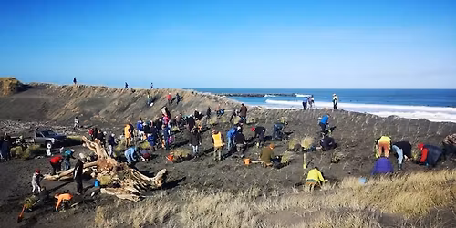 Friends of Coastcare working bee