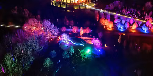 Illuminated Arboretum