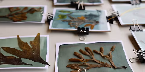 Workshop: Lav bl\u00e5 kunst med strandens materialer og cyanotypi (Kr\u00e6ver tilmelding)