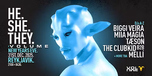 HE.SHE.THEY x VOLUME - NYE BASH