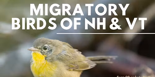 Migratory Birds of NH & VT with Photographer Roger Irwin and Larry Metcalf