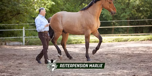 Wie von Zauberhand bewegt: Den Pferden in die Seele geschaut