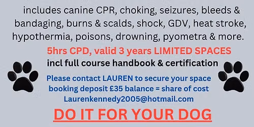 Canine First Aid Course Private Course Pomeranian Group East Kilbride