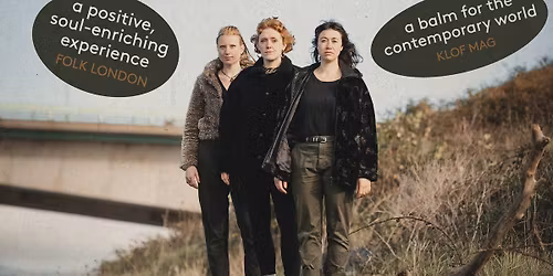 HANDS OF THE HERON | Live In Totnes, Devon | *Seated Show*