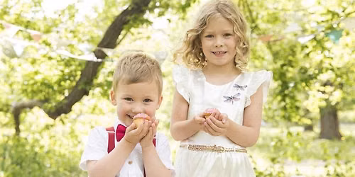 Fitzroy Gardens - Mini Photo Session