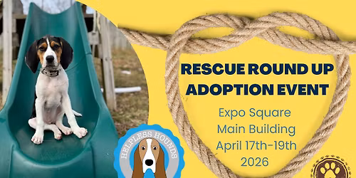 2026 Rescue Round Up Adoption Event at the Spring Home & Outdoor Living Expo