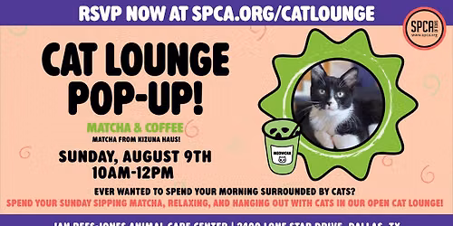 Cat Lounge Pop-Up