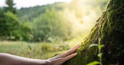 \u201cHealing Our Connection with Nature: An Ecotherapeutic Journey\u201d with Gina from The Center for Expand