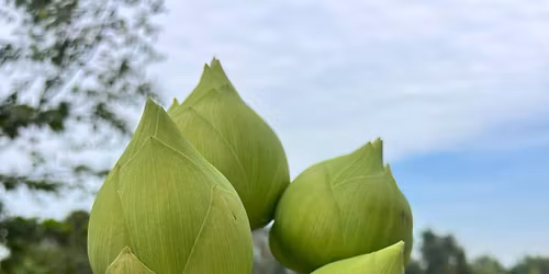 Th\u00e1ng 11 v\u1ec1.