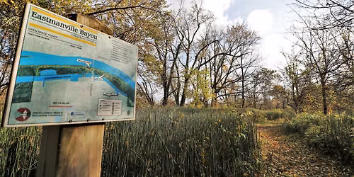 Park Cleanup 