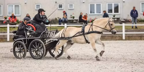 DMP p\u00e5 S\u00f8rlandet