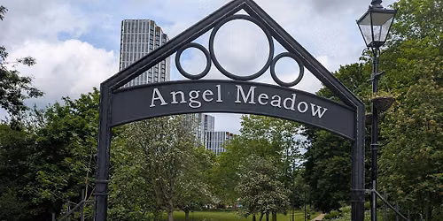 Angel Project Consultation