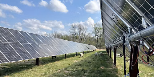 Innovation at the Intersection of Climate Solutions