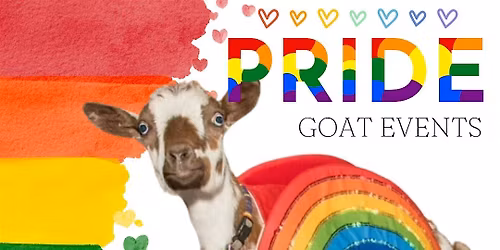 PRIDE BINGOAT: Bingo + Goats