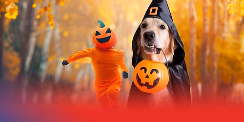 HALLOWEENSK\u00dd lehce stra\u0161ideln\u00fd v\u00fdb\u011bh \ud83d\udc7b\ud83e\udddf\ud83c\udf83