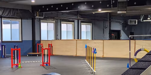 Agility Ring Rentals