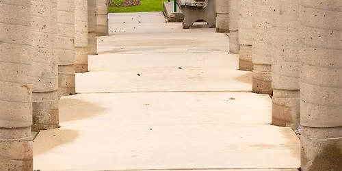 Mini Headshot & Branding Photo Day