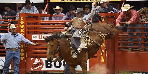 Davie Pro Rodeo 2026