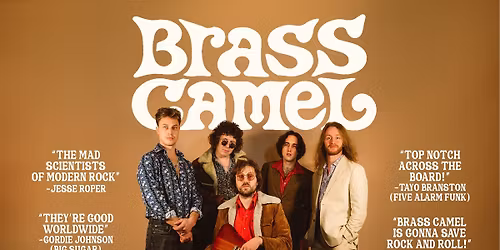 Saturday Showcase: Brass Camel