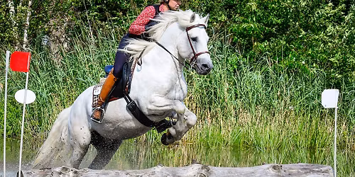 Festival Camargue 2026 Wesel Obrighoven 