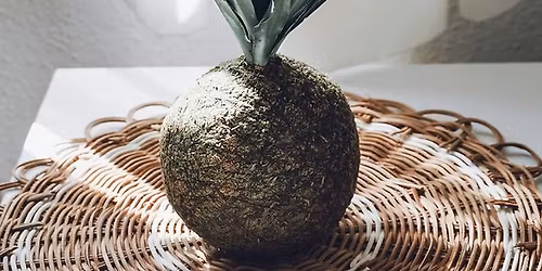 Kokedama Moss Balls
