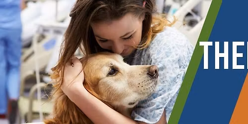 Therapy Dog Career Workshop