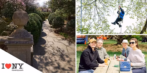 Branches in Bloom: A Spring Festival Celebrating Arbor Day