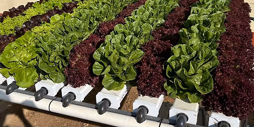 Habitat Hydroponics Bootcamp